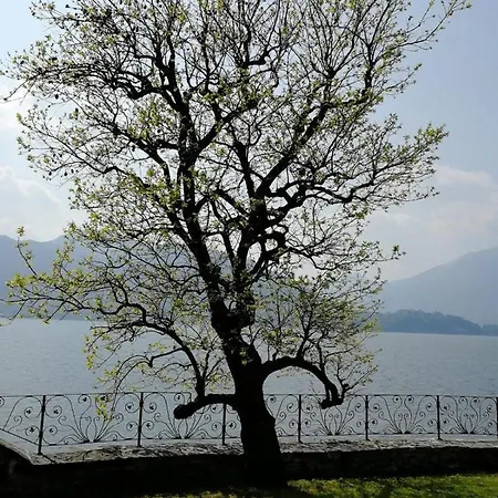L'antico Borgo, Un Mix Di Storia E Romanticismo Semesterbostad Lierna